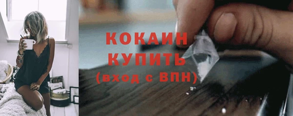 крисы Армянск