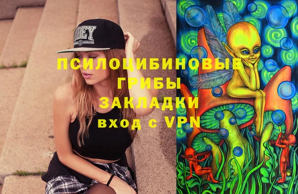 крисы Армянск