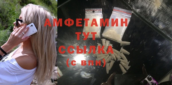 крисы Армянск